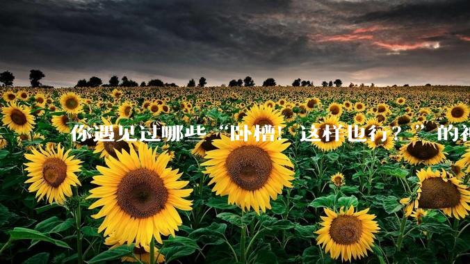 你遇见过哪些“卧槽！这样也行？”的神操作？